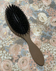 Brush Medium Oval